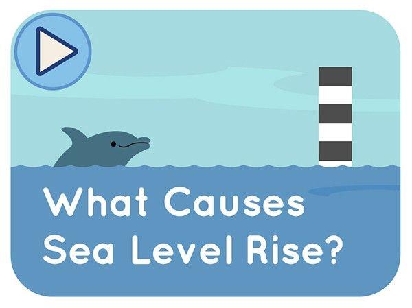 What Causes Sea Level Rise?